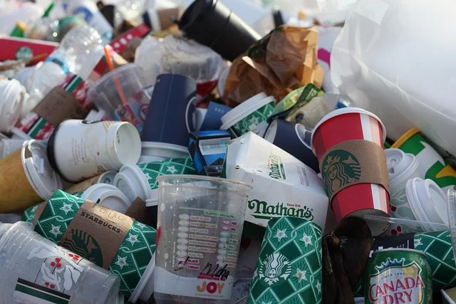best disposable vapes - coffeetogo, disposable cups, environmental pollution, plastic, mullberg, coffee cup, garbage, coffee mug, coffee, cup, fast food, coffee to go