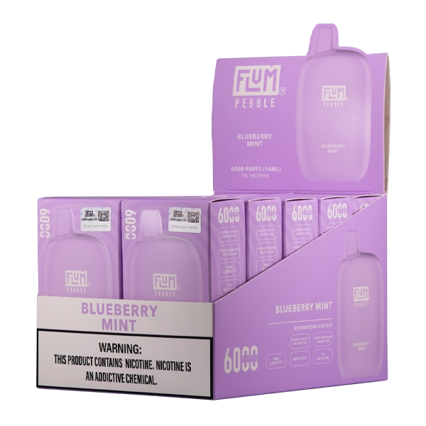 Blueberry Mint FLUM Pebble